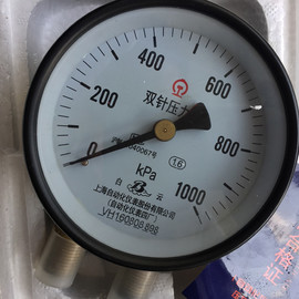    双针双管压力表